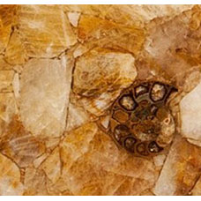 Yellow Quartz with Ammonites